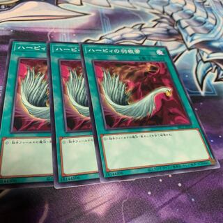 ハーピィの羽根帚 ノーマル