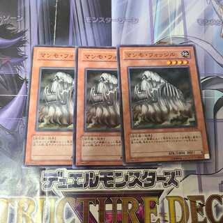 マンモ・フォッシル ノーマル　3枚