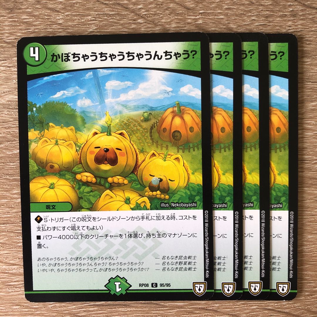 超人気 専門店 南瓜さん専用 asakusa.sub.jp