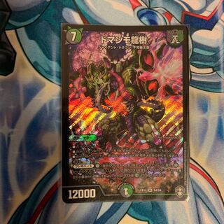 ドマンモ龍樹   1枚