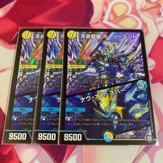 天命龍装 ホーリーエンド/ナウ・オア・ネバー