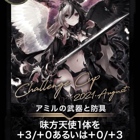 新CS アミルの武器と防具