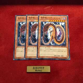 限界竜シュヴァルツシルト ノーマル