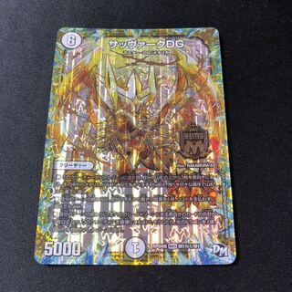 サッヴァークDG