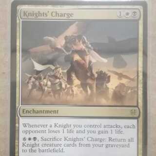 騎士の突撃　英