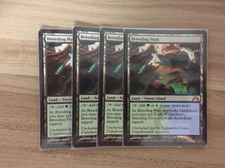 繁殖池 GTC 英語版4枚set