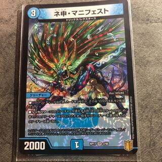 ネ申・マニフェスト