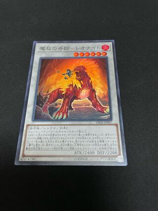 魔救の奇跡-レオナイト