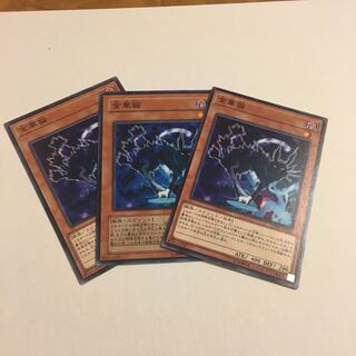 金華猫 ノーマル