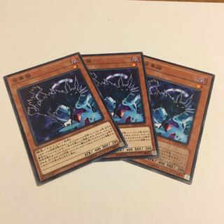 金華猫 ノーマル