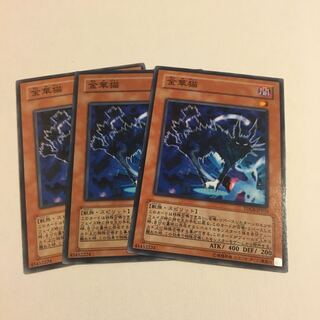 金華猫 ノーマル