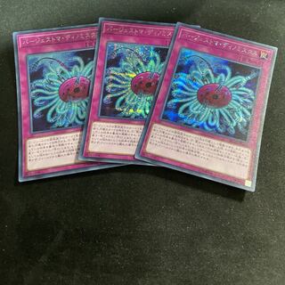 Paleozoic Dinomischus Secret Rare 3 copies