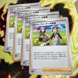 ポケモンブリーダーの育成 U 4枚