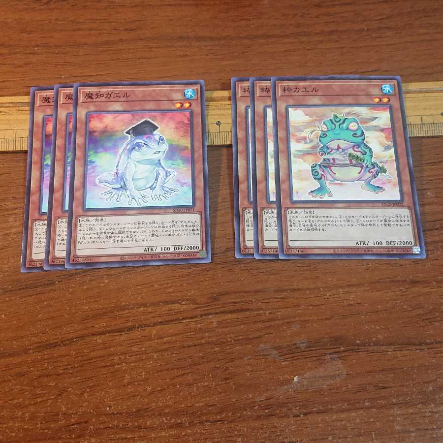 魔知ガエル 粋カエル 各3枚