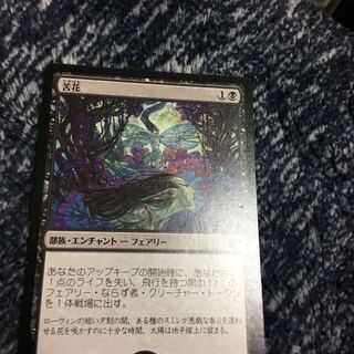 苦花 窪み、汚れあり