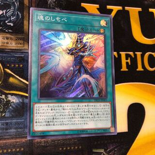 魂のしもべ プレイ用