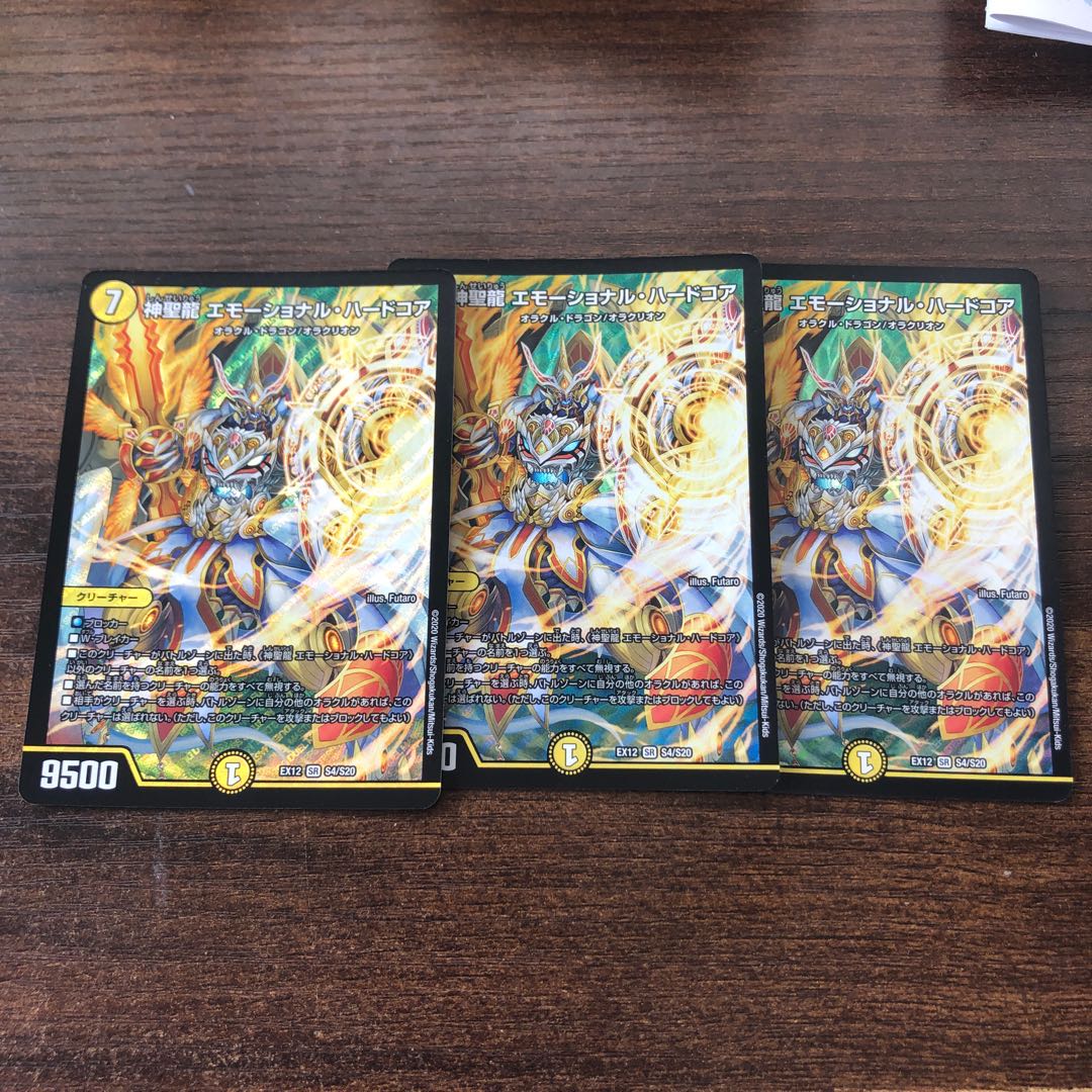 神聖龍 エモーショナル・ハードコア