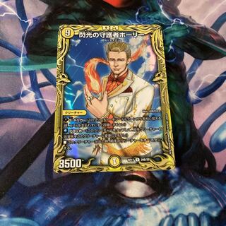 閃光の守護者ホーリー　b