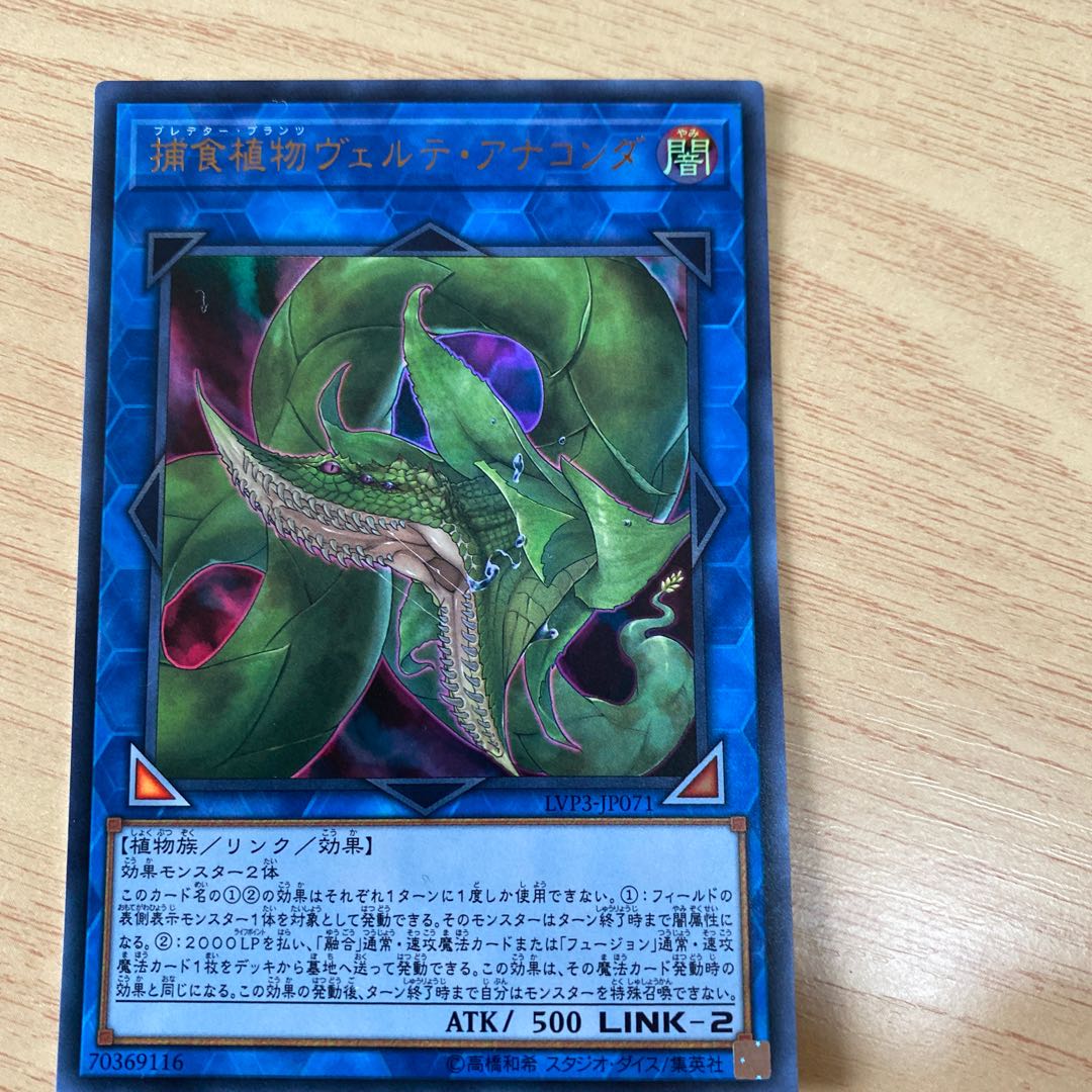 捕食植物ヴェルテ・アナコンダ ウルトラレア