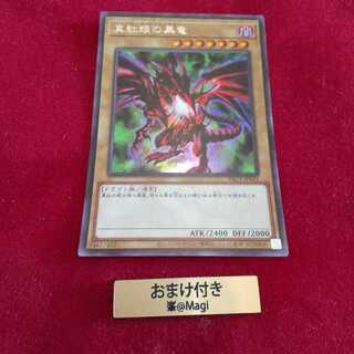 真紅眼の黒竜 シークレットレア