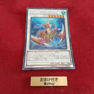 瑚之龍 コレクターズレア