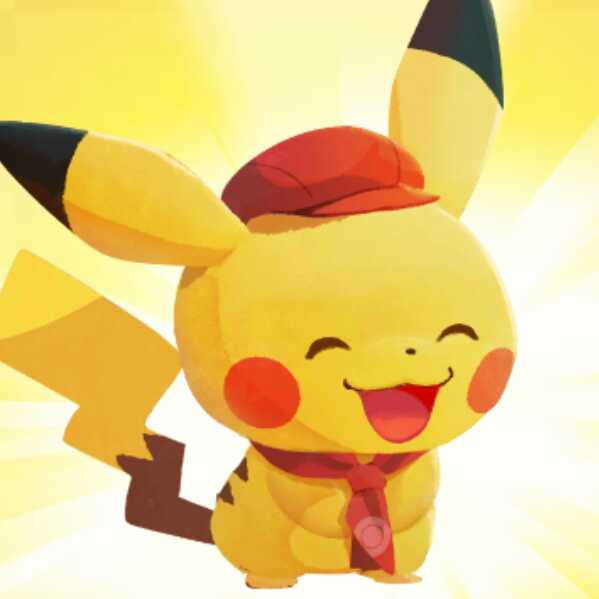 ぽぽ様専用不足分