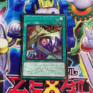 Ecole de Zone Collector's Rare