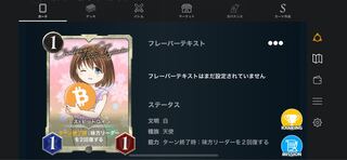 白　シルバー　ミス・ビットコイン2枚セット