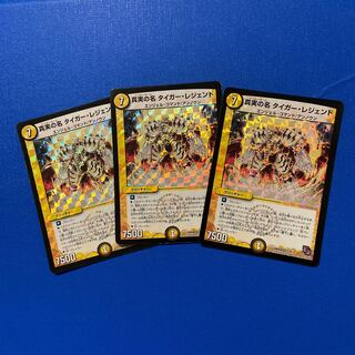 真実の名 タイガー・レジェンド