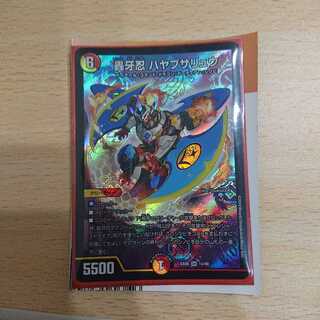 ハヤブサリュウ