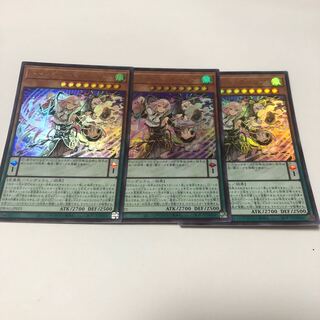 DoSolfachord Coolia Ultra Rare