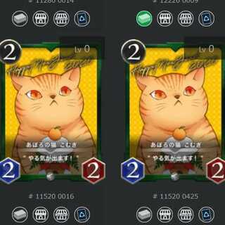 あぽろの猫 こむぎ ２枚セット