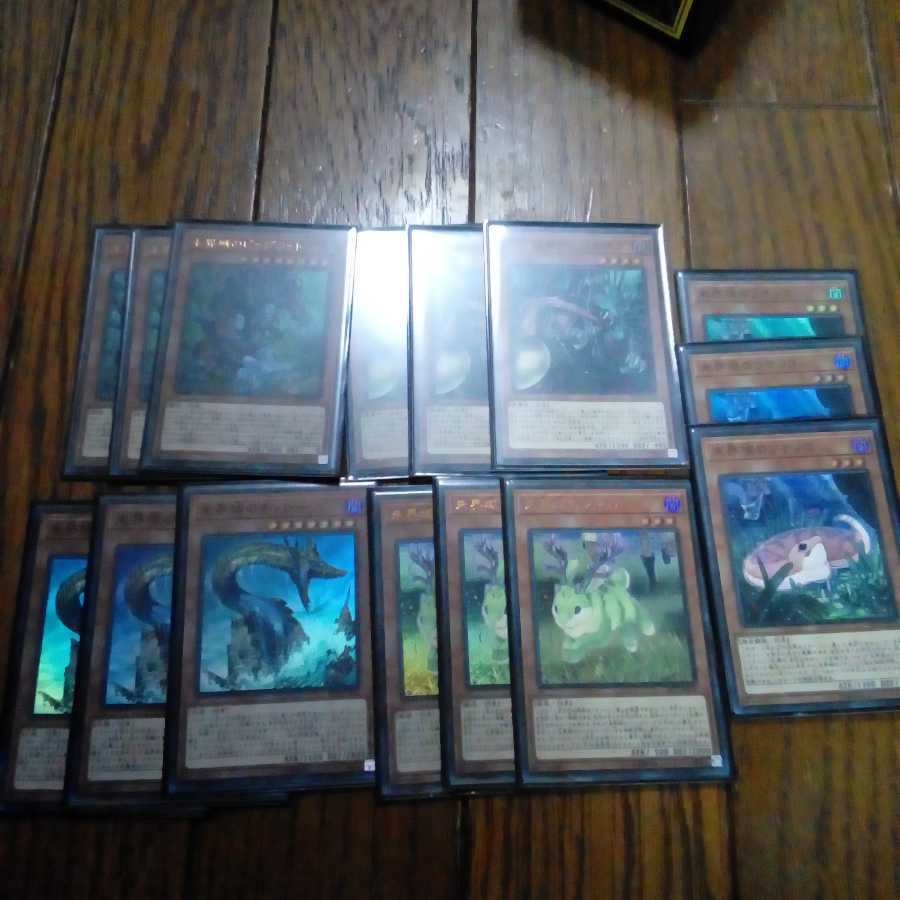 未界域パーツ15枚セット