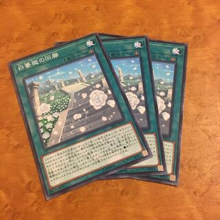 白薔薇の回廊 ノーマル