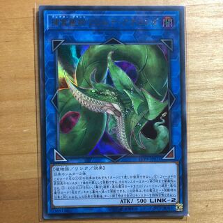 捕食植物ヴェルテ・アナコンダ ウルトラレア