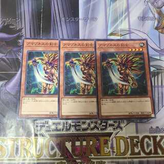 アマゾネスの剣士 ノーマル　3枚