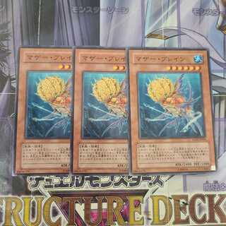 マザー・ブレイン ノーマル　3枚