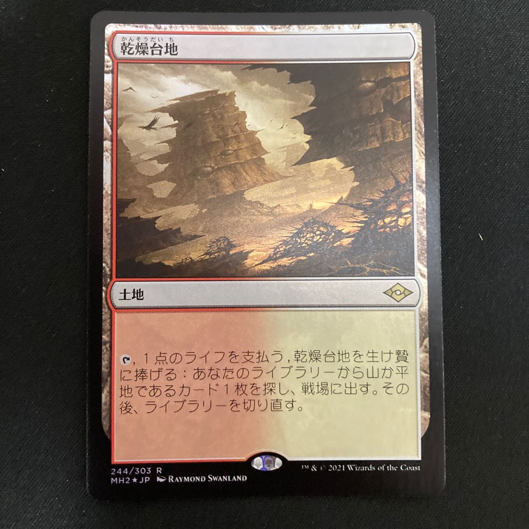 乾燥台地 レア　foil