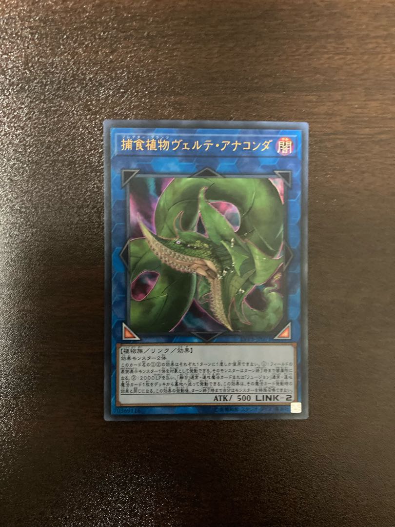 捕食植物ヴェルテ・アナコンダ ウルトラレア