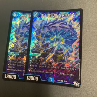 水上第九院 シャコガイル