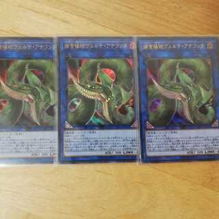 捕食植物ヴェルテアナコンダ