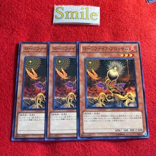 ローンファイア・ブロッサム#1899