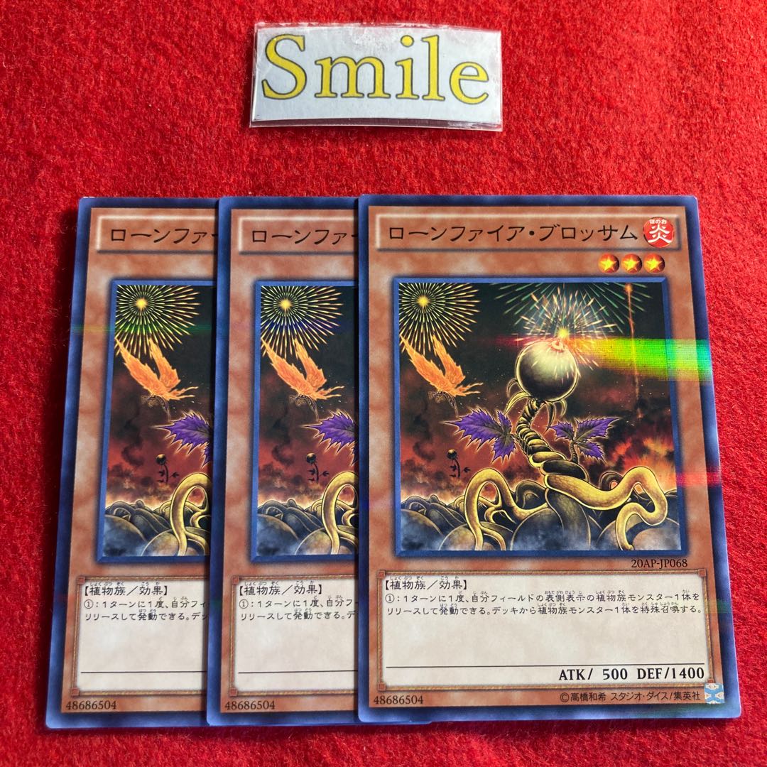 ローンファイア・ブロッサム#1900