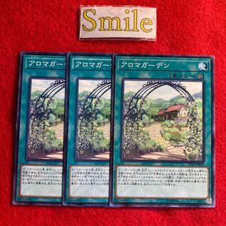 アロマガーデン#1904