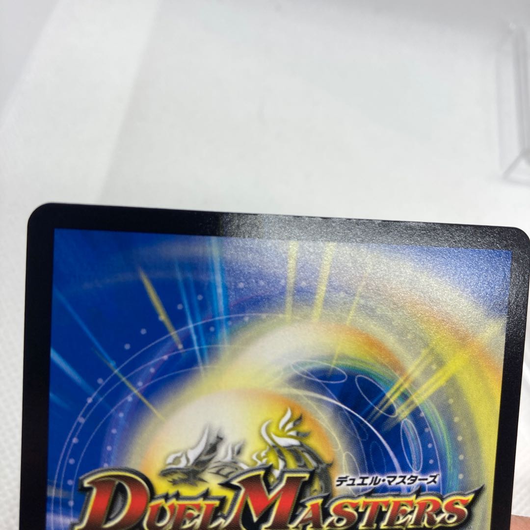 【特価品】龍風混成 ザーディクリカ 初期傷多