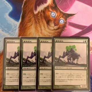 嚢胞抱え　日本語　4枚