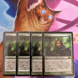 Skinshifter Japanese 4 sheets 4枚