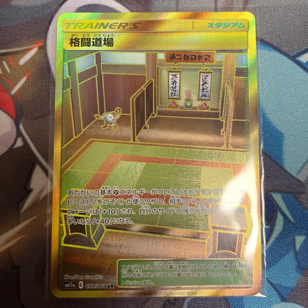 クリス様専用　格闘道場 UR