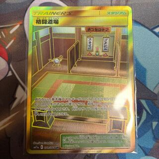 クリス様専用　格闘道場 UR