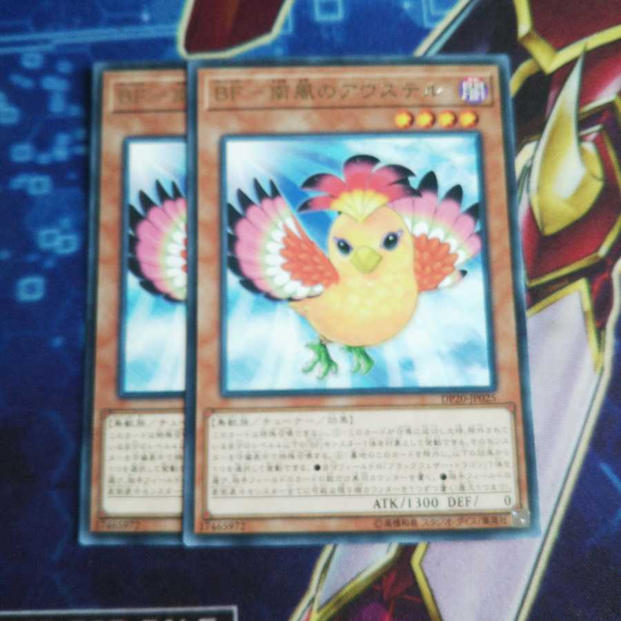 BF-South Wind Auster Rare 2 pieces